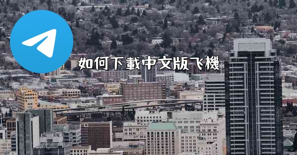 <b>如何下載中文版飞機</b>