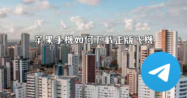 <b>苹果手機如何下載正版飞機</b>