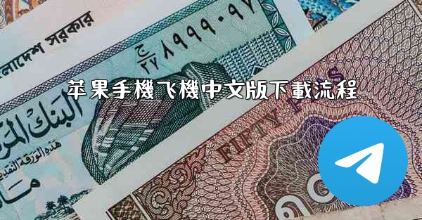 <b>苹果手機飞機中文版下載流程</b>