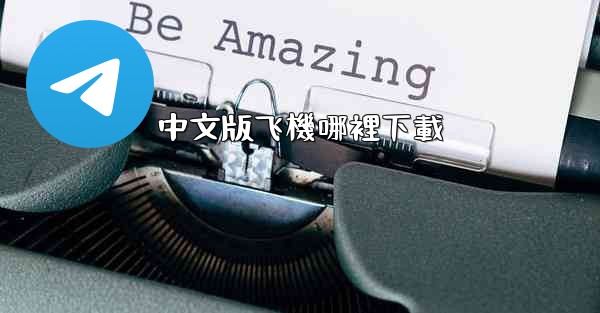 中文版飞機哪裡下載