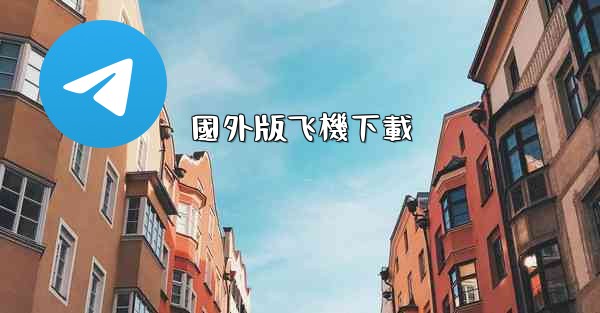 國外版飞機下載