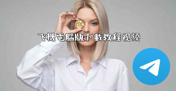 飞機電腦版下載教程视频