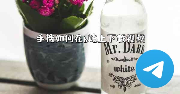 手機如何在b站上下載视频