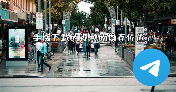 手機下載的视频的儲存位置