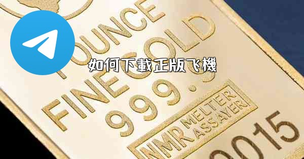 如何下載正版飞機