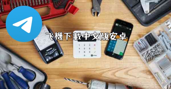 飞機下載中文版安卓