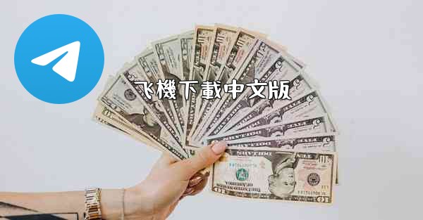 飞機下載中文版