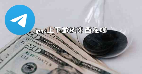 ipad上下載的东西在哪