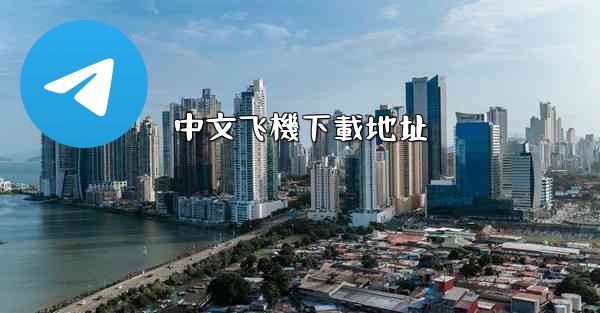 中文飞機下載地址