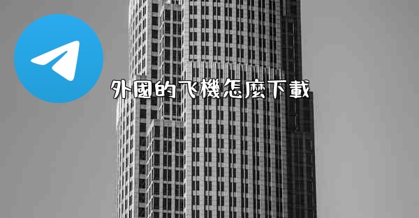 外國的飞機怎麼下載