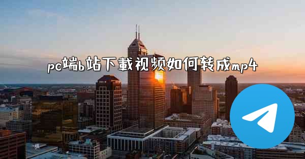 pc端b站下載视频如何转成mp4