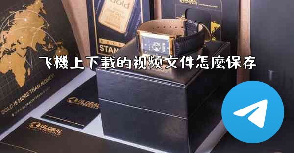 飞機上下載的视频文件怎麼保存