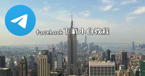 facebook下載小白教程