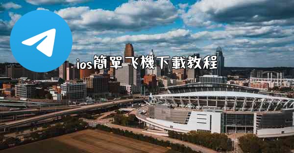ios簡單飞機下載教程