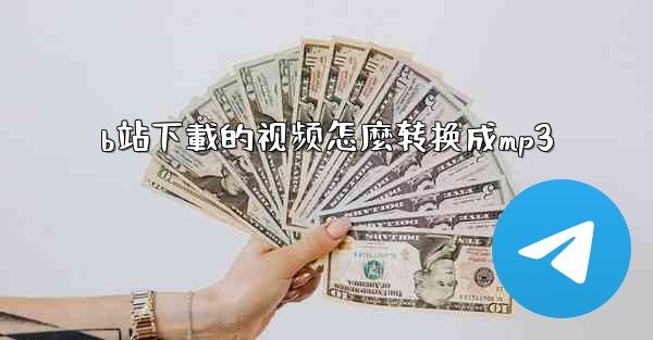 b站下載的视频怎麼转换成mp3