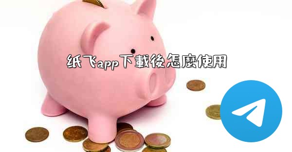 纸飞app下載後怎麼使用