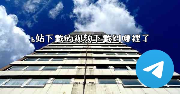 b站下載的视频下載到哪裡了