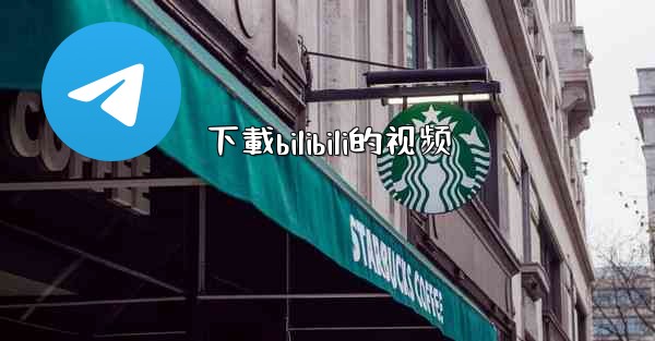 下載bilibili的视频