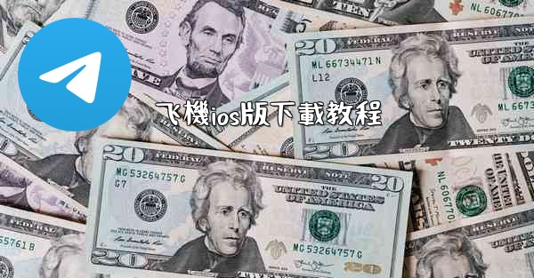 飞機ios版下載教程