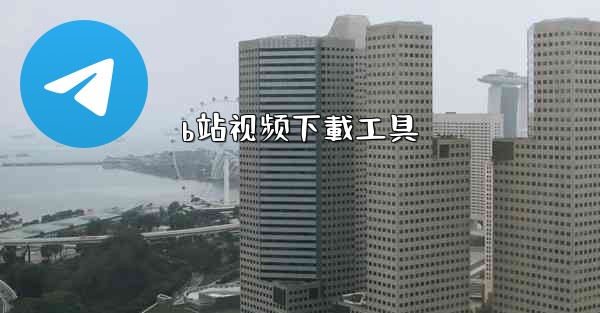 b站视频下載工具