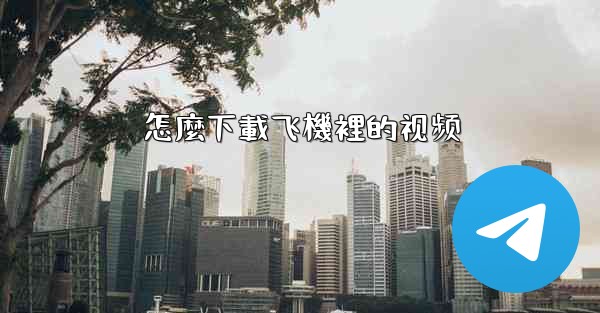 <b>怎麼下載飞機裡的视频</b>