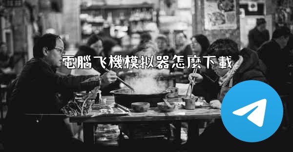 電腦飞機模拟器怎麼下載