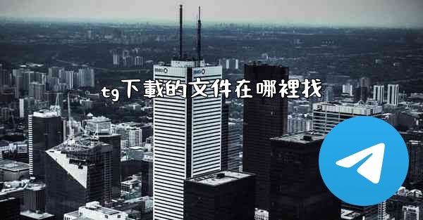 tg下載的文件在哪裡找