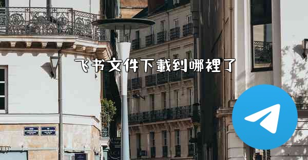 飞书文件下載到哪裡了