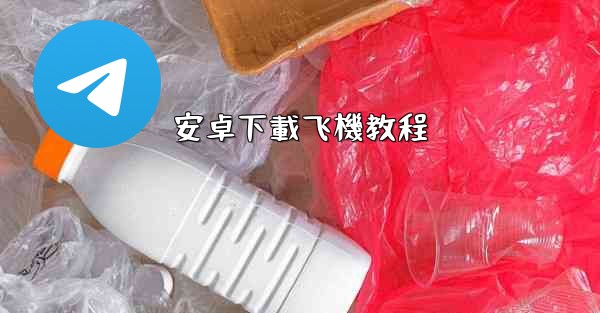 <b>安卓下載飞機教程</b>