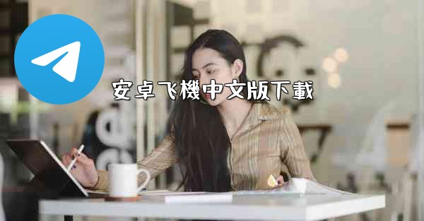 <b>安卓飞機中文版下載</b>