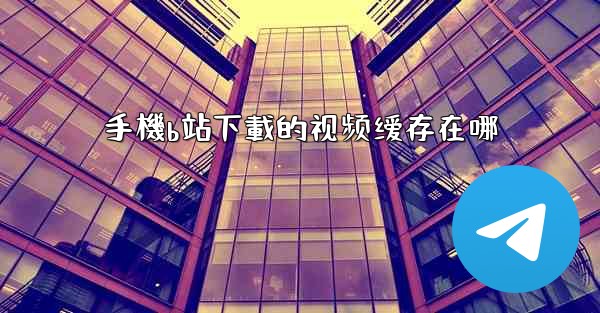 手機b站下載的视频缓存在哪