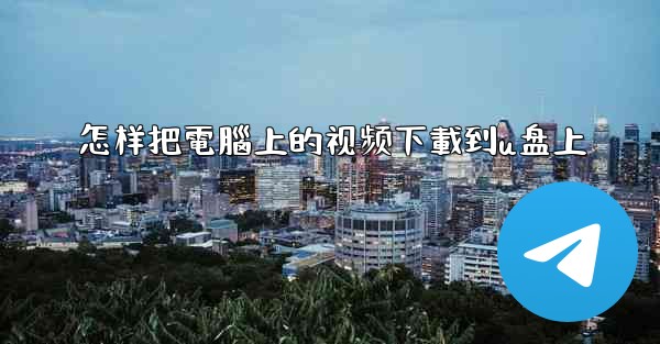 怎样把電腦上的视频下載到u盘上