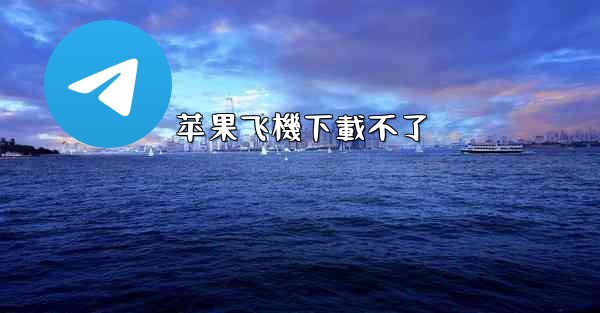 苹果飞機下載不了