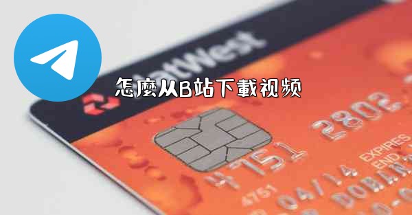 怎麼从B站下載视频