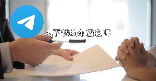 tg下載的东西在哪