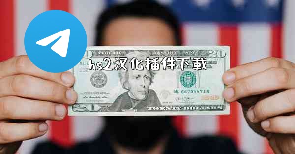 hs2汉化插件下載