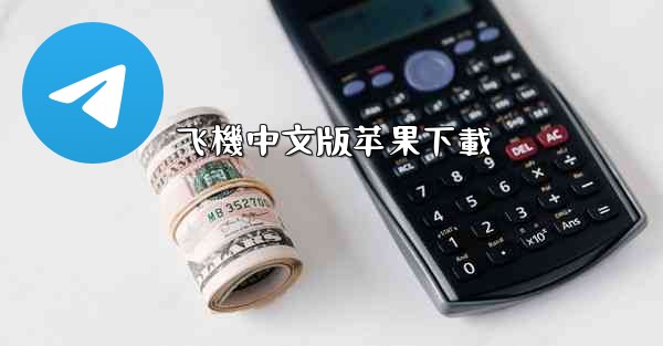 飞機中文版苹果下載