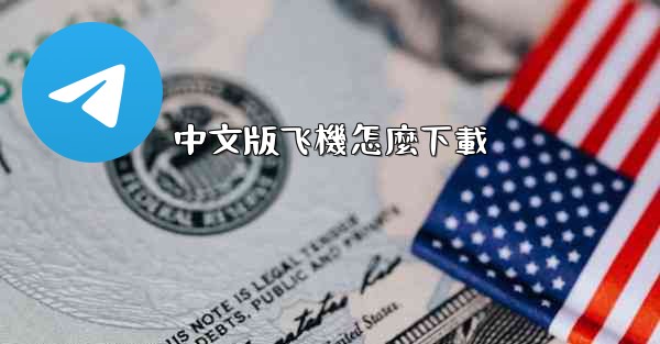 中文版飞機怎麼下載