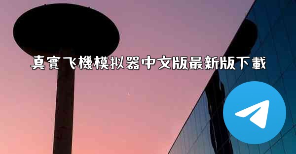 真實飞機模拟器中文版最新版下載