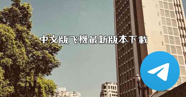 中文版飞機最新版本下載