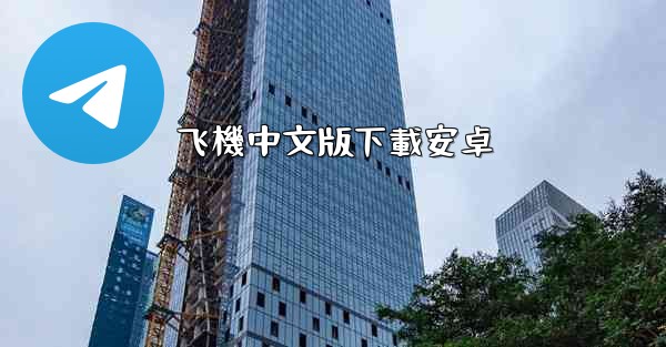 飞機中文版下載安卓