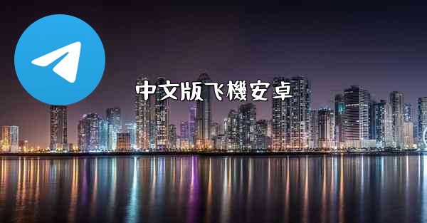 中文版飞機安卓