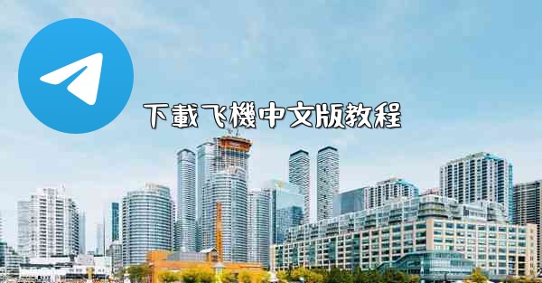 下載飞機中文版教程