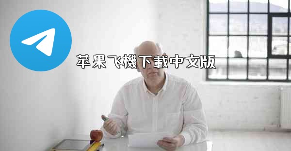 苹果飞機下載中文版