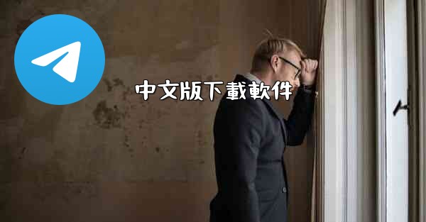 中文版下載軟件