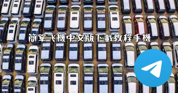 簡單飞機中文版下載教程手機