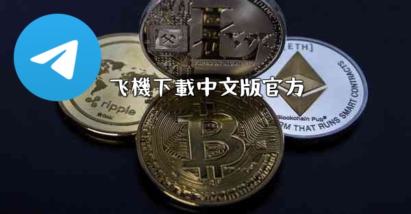 飞機下載中文版官方