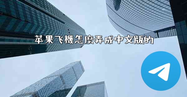 苹果飞機怎麼弄成中文版的