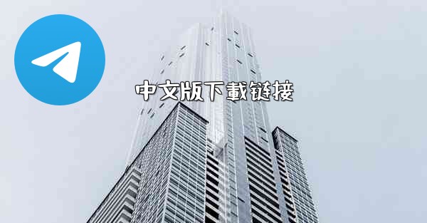 中文版下載链接