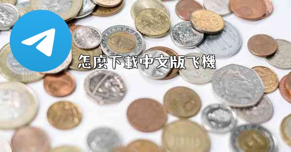 怎麼下載中文版飞機